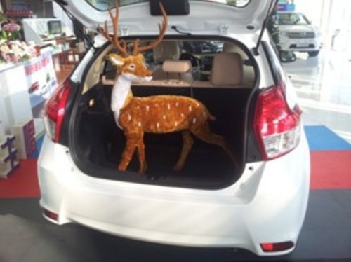 圣诞节来广龙丰田店  圣诞小鹿带你赏车