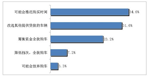 2013中国汽车信贷消费调研报告发布
