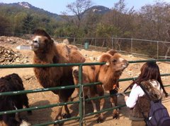 说一说今年参加的雪佛兰4S店的精彩活动