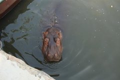 说一说今年参加的雪佛兰4S店的精彩活动