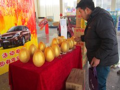 昌河铃木11-12团购会完美收官