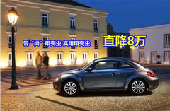 湖州禾众誉德进口大众甲壳虫