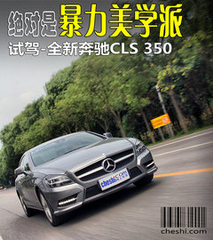 废墟上的暴力美学派 全新奔驰-CLS350