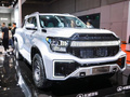 为国争光！盘点全球6x6十大“皮卡之王”，国产车性能惊艳