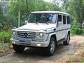 16款奔馳G350柴油價格 天津現(xiàn)車平行進口