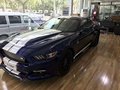 福特野馬性能版 謝爾比GTE現(xiàn)車優(yōu)惠報價