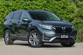 8月SUV銷量榜出爐 H6/CS75大幅下滑 Model Y進(jìn)前十