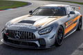 梅赛德斯-AMG 新款GT4亮相！3月开售内饰更吸睛