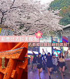 八千的機票去日本 春天去看櫻花是怎樣的體驗？