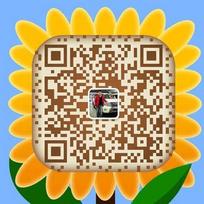 2016款丰田霸道4000 底价回馈独享分期-图8