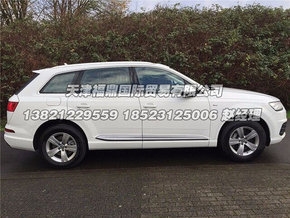 16款奥迪Q7行政级SUV 四驱科技奢华配置-图3