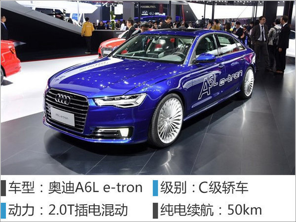 奥迪前3季度销量稳增 “中国定制车”将上市-图5