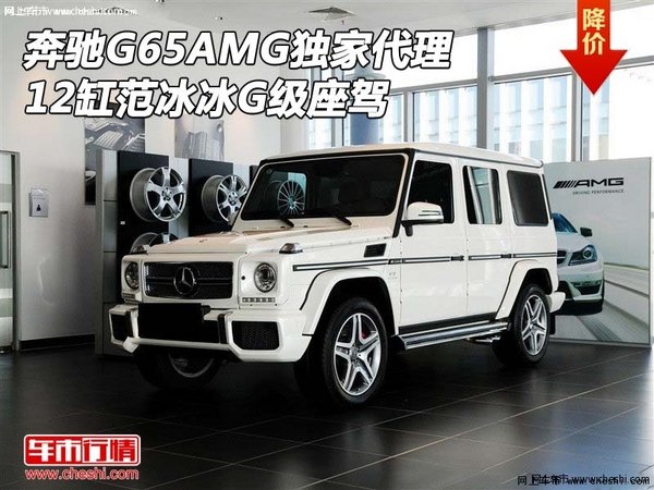 奔驰G65AMG独家代理 12缸范冰冰G级座驾-图1