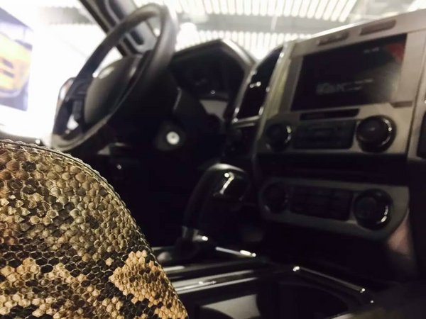 17款福特猛禽皮卡改装案例 国内仅此一台-图4