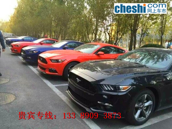 16款福特野馬特價(jià)現(xiàn)車 鐘情七夕野馬裸促-圖2