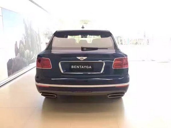 17款全新宾利SUV Bentayga添越隆重上市-图8