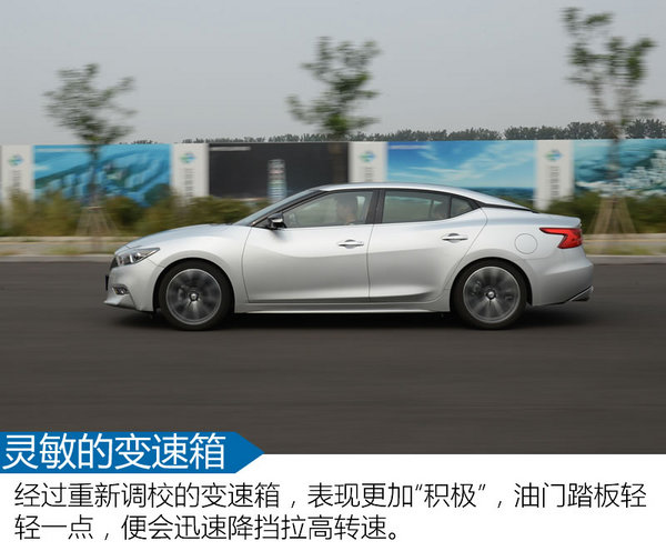 我与西玛的45天 东风日产西玛怎么样？-图8