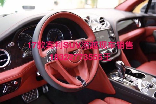賓利添越搶盡風頭 天津港口展廳現(xiàn)車體驗-圖4