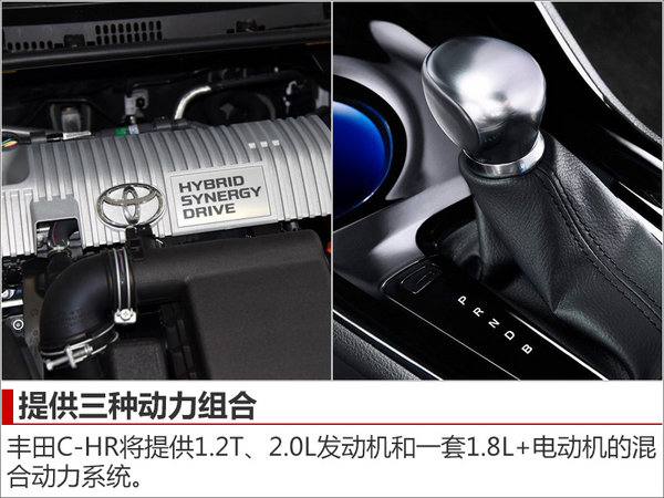 丰田推全新平台小型SUV 竞争本田XR-V-图5