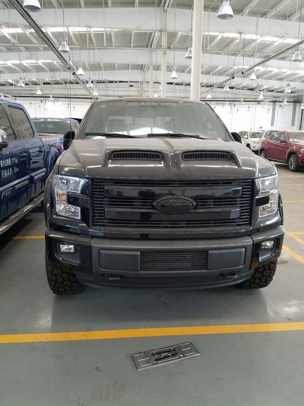 16款福特猛兽F150皮卡 底降价激情在路上-图3