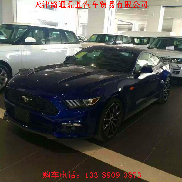 16款福特野馬天津現車 酷跑豪駕底價行情-圖3