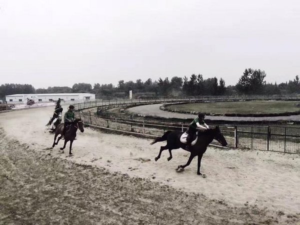 纵享生活 合肥广汽丰田汉兰达马术体验营-图9
