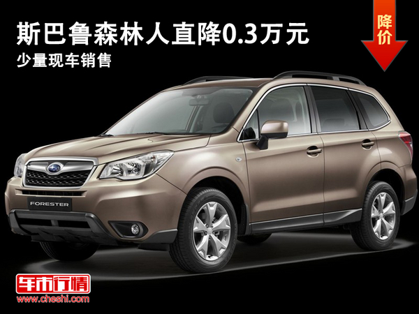 大同中翼斯巴鲁