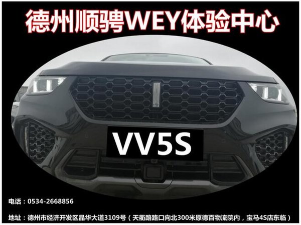 驭订随心 礼遇随行顺骋WEY VV5s预售开启-图8