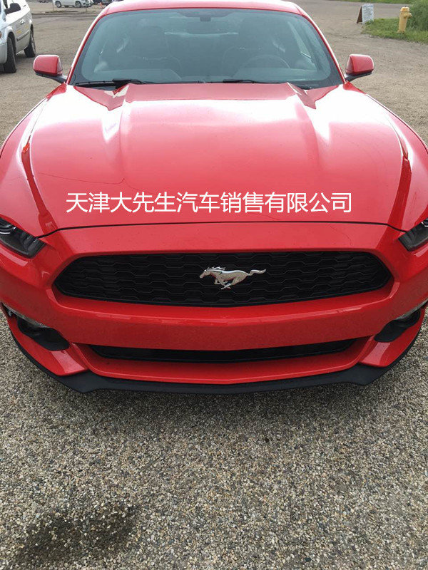 上市跑車2017款福特野馬 標(biāo)配2.3T自動(dòng)擋-圖2