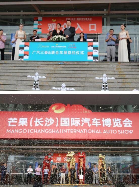 2017年芒果国际汽车博览会开幕-图2
