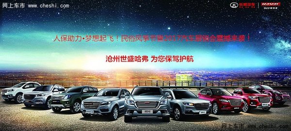 2017风筝节 沧州世盛带你买车带你飞-图2