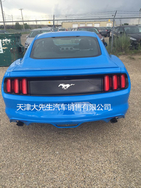 2017款福特野馬2.3T 自動擋標配跑車進店-圖3