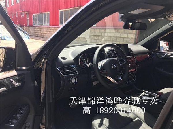 2017款奔驰GLE43AMG 行走川藏线性能彪悍-图8