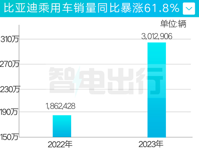 超额完成目标比亚迪年销售302万辆大涨61.8-图1
