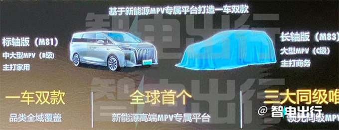 长城双MPV战略高山将推出加长版PK腾势D9-图5