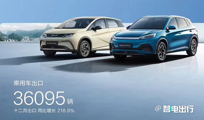 比亚迪2023年销量暴涨61.8新能源累销超630万辆-图9