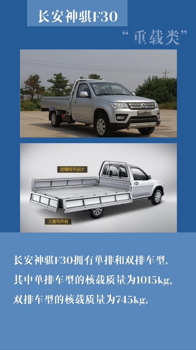 哪些皮卡属于重载类重载类皮卡一定就更好吗-图4