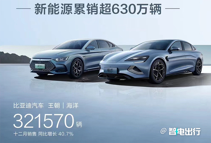 比亚迪2023年销量暴涨61.8新能源累销超630万辆-图5