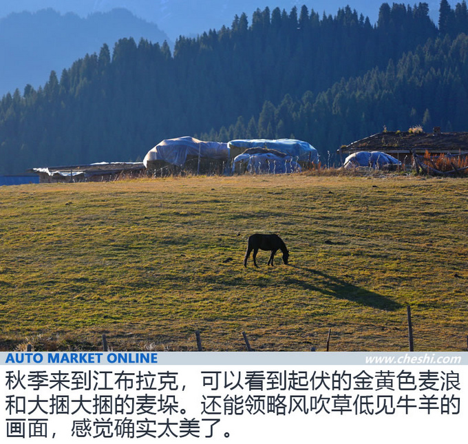 探寻沙洲的海市蜃楼 2019款三菱帕杰罗深度体验-图3