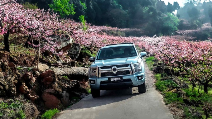 迎来丰收年2023年自动挡皮卡销量大增40.85达130585辆-图8