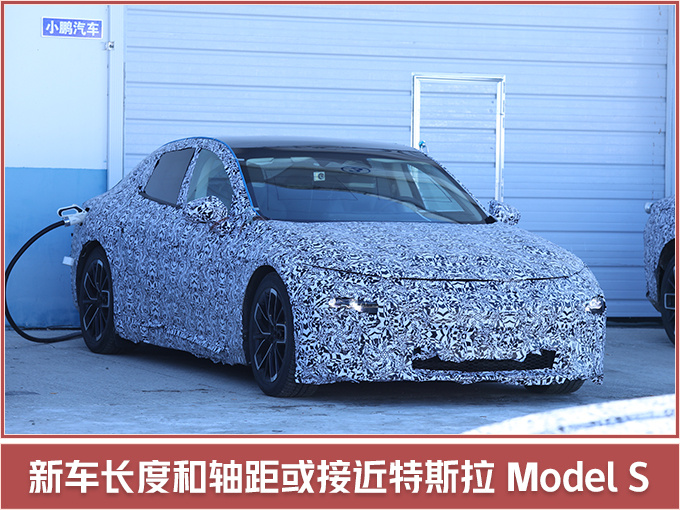特斯拉,小鹏电动轿跑4月首发,特斯拉Model 3 特斯拉,小鹏电动轿跑4月首发,特斯拉Model 3
