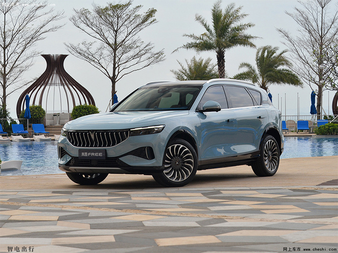 岚图FREE将在10天后上市 增程式车型续航里程860km-图2