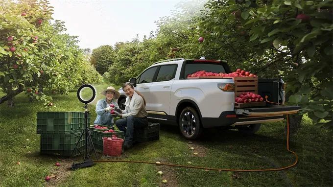 9月皮卡终端销售24917辆同比增长2.8-图19