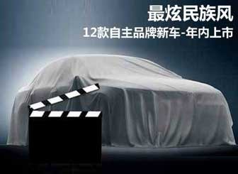 12款自主品牌新车-年内上市
