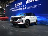 风光500