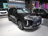 现代 进口 帕里斯帝  棕色
