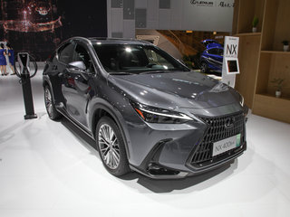 雷克萨斯 NX 400H + 灰色