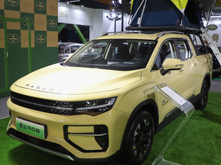 雷达 改装车 卡其色