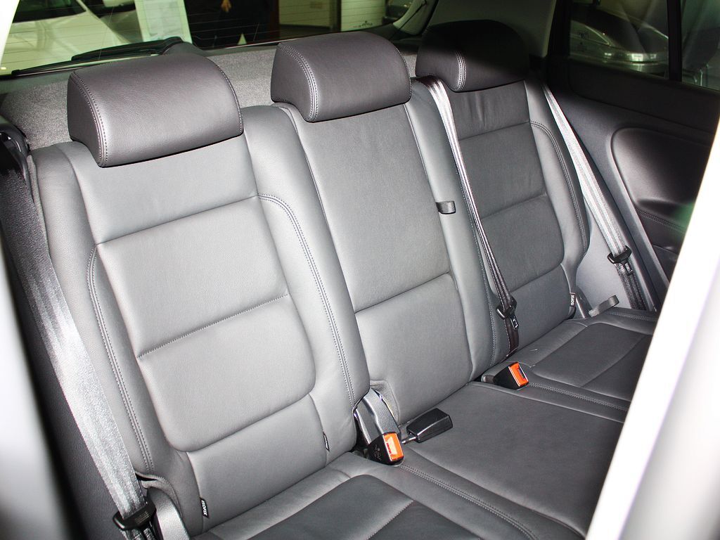 高尔夫(进口) Cross Golf 1.4 TSI 2011款图片