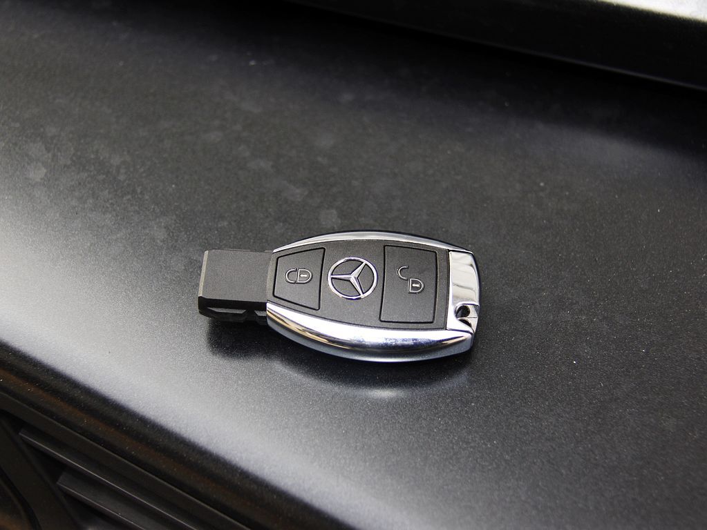 奔驰G级AMG 2013款 奔驰 G65图片